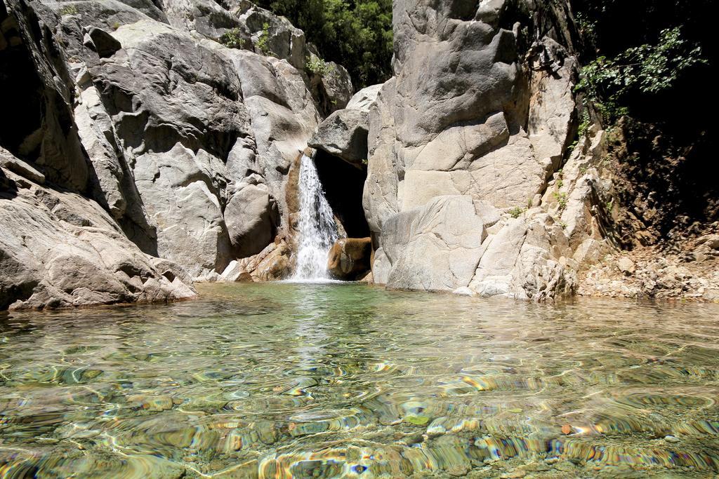Gite Du Chalet Pietri Olivese Екстериор снимка
