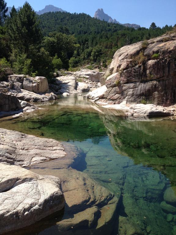 Gite Du Chalet Pietri Olivese Екстериор снимка