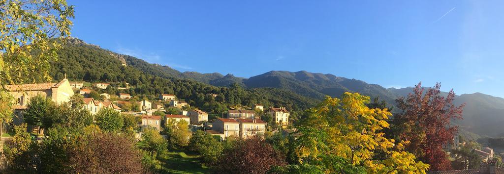 Gite Du Chalet Pietri Olivese Екстериор снимка