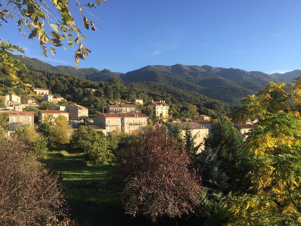 Gite Du Chalet Pietri Olivese Екстериор снимка