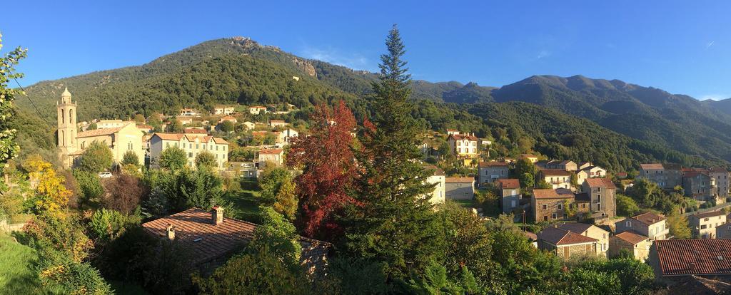Gite Du Chalet Pietri Olivese Екстериор снимка
