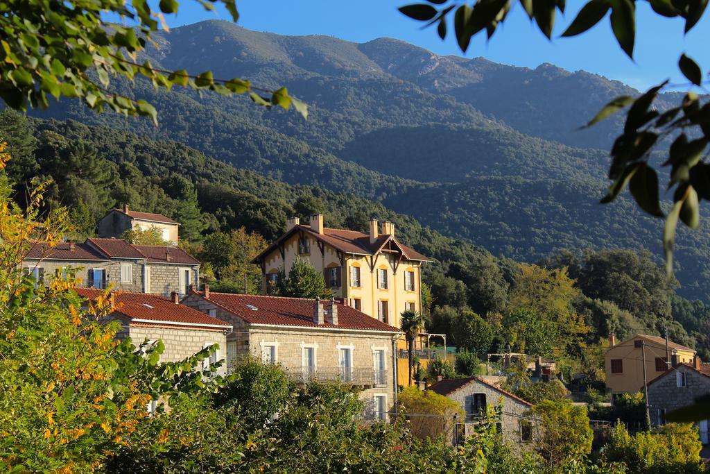 Gite Du Chalet Pietri Olivese Екстериор снимка